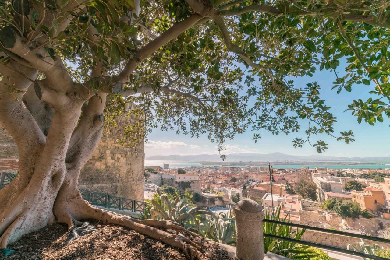 Linee Moderne - Wifi - Ac Cagliari